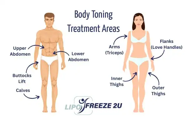 Graphic showing where you can have Body toning Treatment Swansea on your body